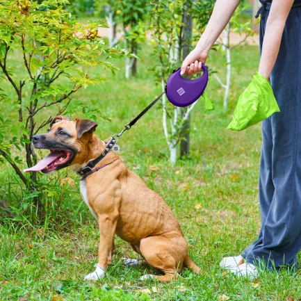 Повідець-рулетка для собак WAUDOG R-leash з контейнером для пакетів, світловідбивна стрічка, L, до 40 кг, 5 м, фіолетовий — Фото 5