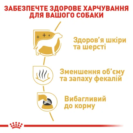 Сухий корм Royal Canin MALTESE ADULT для дорослих собак породи Мальтез 1,5 кг — Фото 2