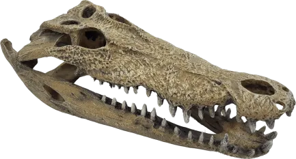Декорація для акваріума REPTO DECO CROCODILE XXL (R5100365)