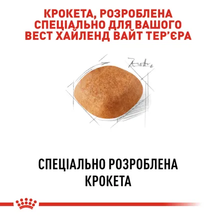 Сухий корм Royal Canin WESTIE ADULT для дорослих собак породи Вест-хайленд-вайт-тер'єр 3 кг — Фото 3