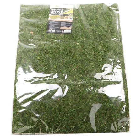 Фон моховий Repti-Zoo Natural Moss Back &amp; Bottom 60x45см 2шт. (NCM6045) — Фото 2