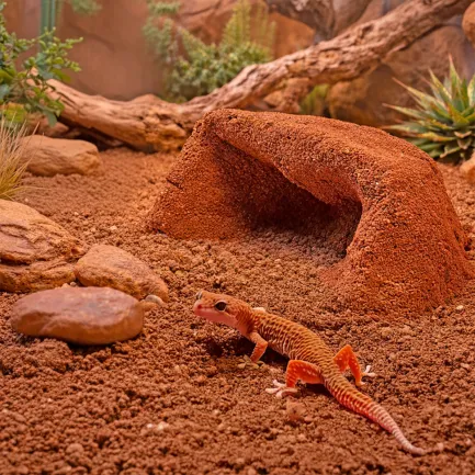 Глиняний порошок для тераріумного субстрату Hobby Terrano Clay Powder Red 1,3 кг (33210) — Фото 8