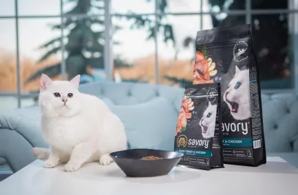 Сухий корм Savory для кошенят всіх порід, зі свіжою індичкою та куркою, 400 г — Фото 4