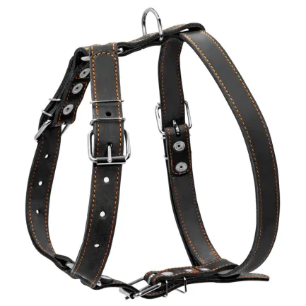 Шлея "CoLLaR" одинарна для середніх собак (ширина 25мм, А:49-68см, В:68-80см) чорний — Фото 1