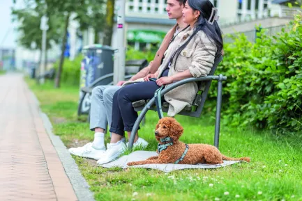 Шлея Trixie CityStyle H-harness для собак бавовна L–XL 75–120 см 25 мм світло-зелена — Фото 3