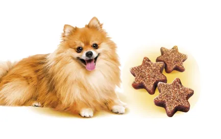 Ласощі Brit Care Mini Treats Shine для собак малих порід, для блиску шерсті, з лососем, 50 г — Фото 2