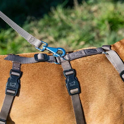Ferplast BRAVE MEDIUM MARRONE PETTORINA шлея для собак коричнева — Фото 3