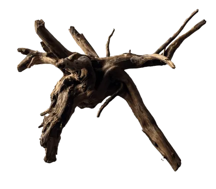 Павутинне дерево BLACK SPIDER WOOD SMALL (A4080380)
