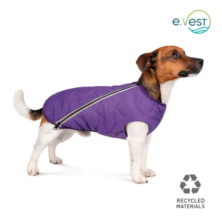 Жилет Pet Fashion «E.Vest» для собак, розмір XS2, фіолетовий — Фото 1