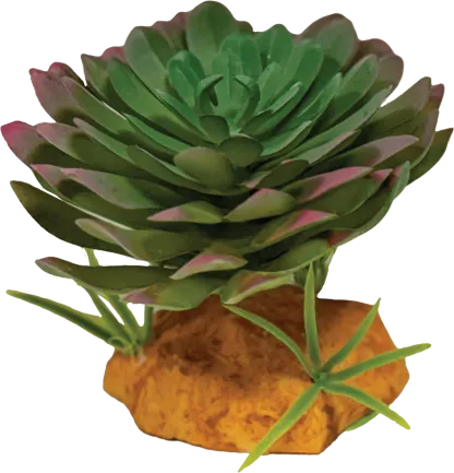 REPTO PLANT ECHEVERIA (R5100625) Штучна рослина для тераріума