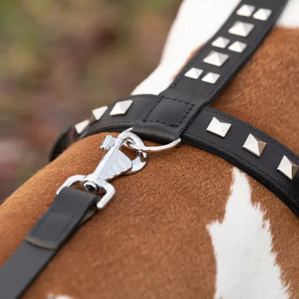 Ferplast GIOTTO P L-XL HARNESS LUXOR Шлея, шкіра — Фото 6