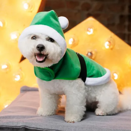 Попона Pet Fashion "Santa" для собак, розмір XS2, зелена — Фото 5