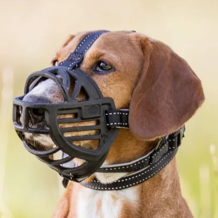 Намордник Trixie Muzzle Flex для собак, силіконовий, M-L 22 см (чорний) — Фото 1
