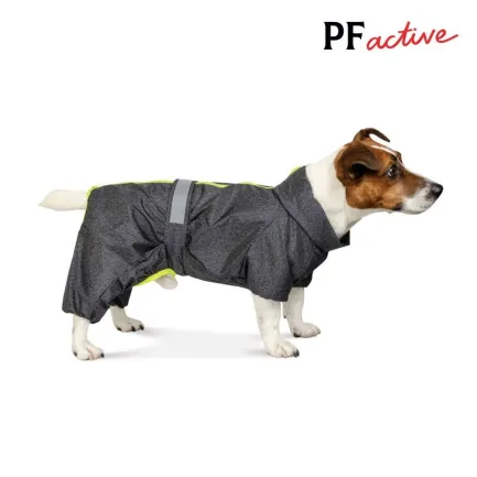 Дощовик Pet Fashion «Rain» для такс, розмір S2, сірий — Фото 1