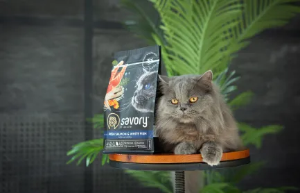 Сухий корм Savory для довгошерстих котів, зі свіжим лососем і білою рибою, 400 г — Фото 3