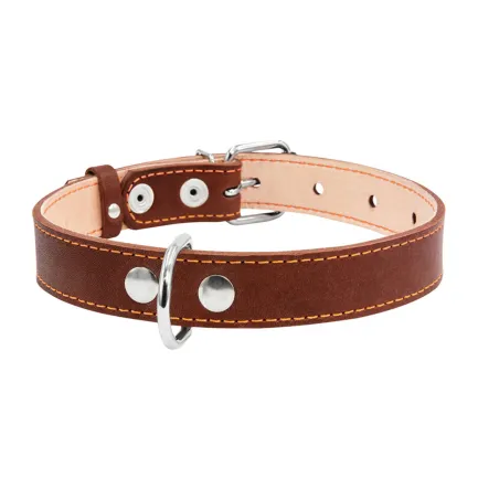 Нашийник "CoLLaR" подвійний (ширина 25мм, довжина 38-50см) коричневий — Фото 1