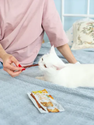 Ласощі GimCat М’ясні палички для котів, з лососем та манго, 3 шт по 5 г — Фото 2