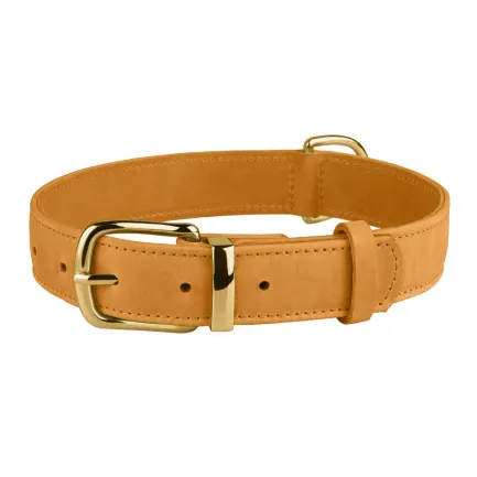 Нашийник для собак шкіряний BronzeDog Crazy голд M