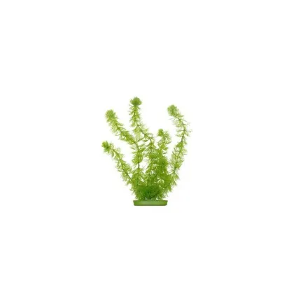 HORNWORT 20см пластикова рослина