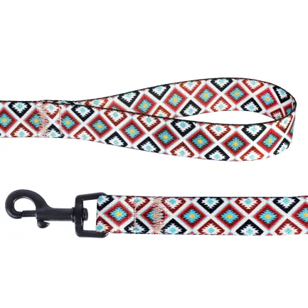 Повідець для Собак Bronzedog Urban Гуцульський Нейлоновий Коричневий XS — Фото 1
