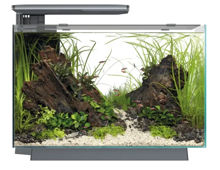 Акваріумний набір SuperFish Quadro 70 Pro Black (A4052225)