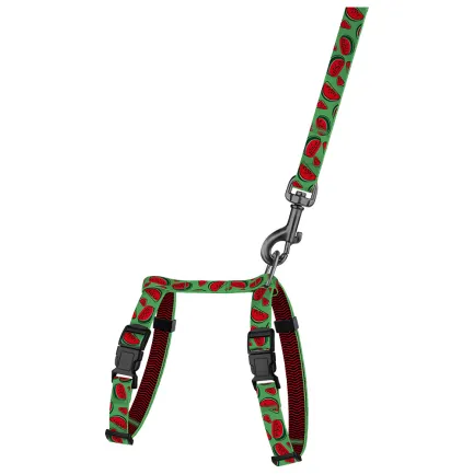 Шлея з Повідцем для Котів та Дрібних Собак BronzeDog Urban Fruits Кавун 2XS — Фото 1