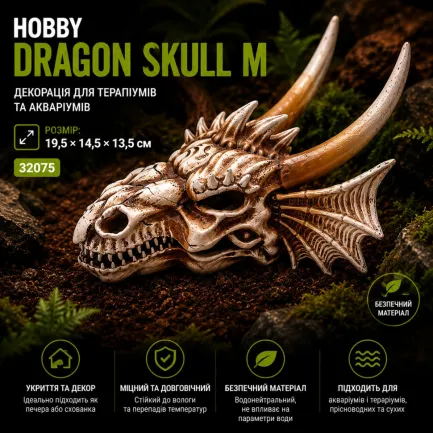 Декорація череп дракона Hobby Dragon Skull M 19,5×14,5×13,5 см для акваріума і тераріума (32075) — Фото 6