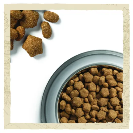 Сухий корм DOG CHOW Active Adult 1+ для дорослих собак з підвищеною активністю з куркою 14 кг — Фото 9