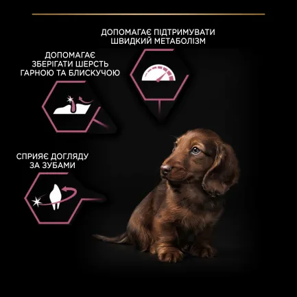 Сухий корм PRO PLAN Small&amp;Mini Puppy <1 Sensitive Skin для цуценят дрібних порід з чутливою шкірою з лососем 3 кг — Фото 7