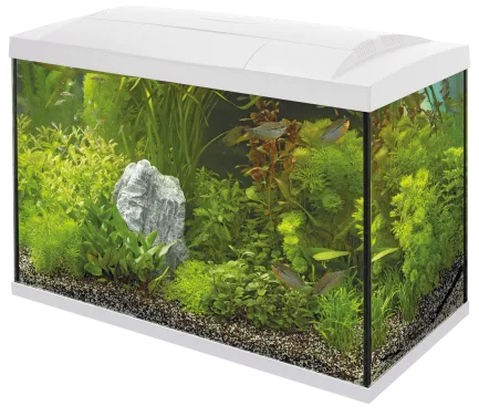 Акваріумний стартовий набір SuperFish Start 70 Aquarium Kit White (A4050287)