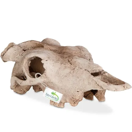 Декорація череп буйвола Terrario Buffalo Skull 21x12x8см (22128) — Фото 4