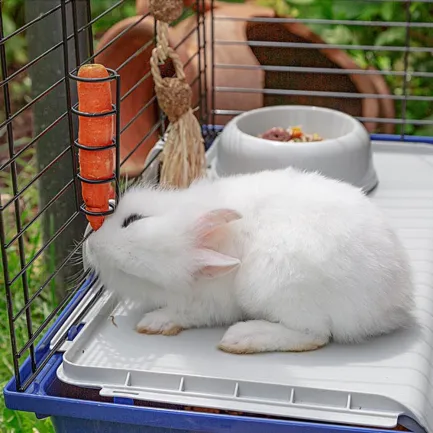 Ferplast CAGE RABBIT 120 (*1) Клітка для кролів — Фото 6