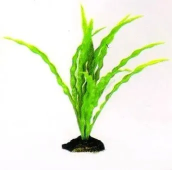 Aquatic Plants (Акватик Плэнтс) Акваріумна рослина, 29 см х 6 шт/уп.