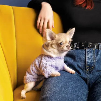 Толстовка Pet Fashion «Delicate» для собак, розмір XS, бузкова — Фото 2
