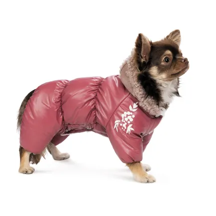 Комбінезон Pet Fashion Cherry S дівчинка для собак — Фото 2