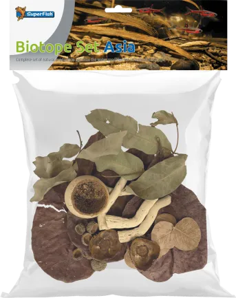 Листя катаппи BIOTOPE SET ASIA (A4080455)