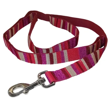 Coastal Pet Attire Weave КОСТАЛ повідець для собак, 2.5смХ1.2м Смужка