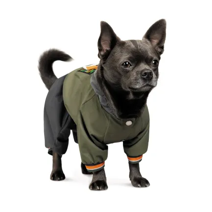 Дощовик Pet Fashion «Jimi» для собак, розмір M, зелений (лімітована серія) — Фото 1