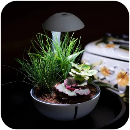 Мінітераріум Chihiros Tiny Terrarium Egg з LED-підсвіткою та керуванням через застосунок — Фото 1