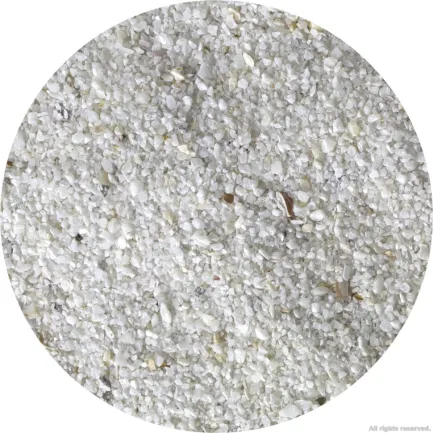 Живий пісок для морського акваріуму Aquaforest AF Bio Sand 10кг 0.5-1.5мм — Фото 4