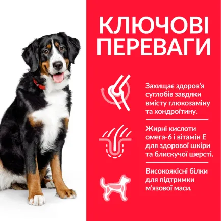 Hill’s Science Plan Adult Large Breed Сухий корм для дорослих собак великих порід, з куркою, 14 кг — Фото 2
