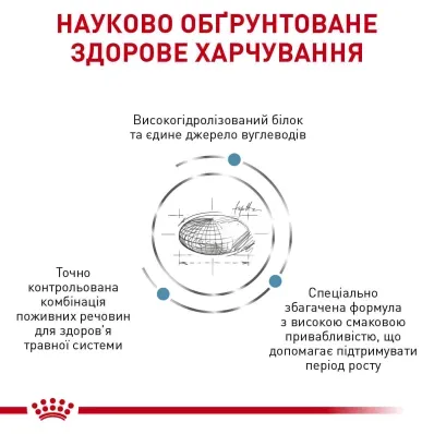 Дієтичний сухий корм Royal Canin HYPOALLERGENIC PUPPY для цуценят 3,5 кг — Фото 2