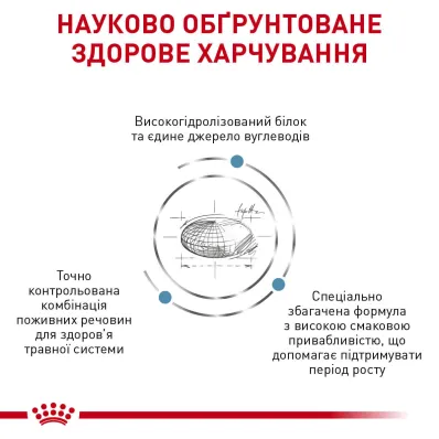 Дієтичний сухий корм Royal Canin HYPOALLERGENIC PUPPY для цуценят 1,5 кг — Фото 2