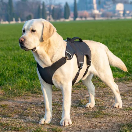 Ferplast ERGOTREKKING XL HARNESS BLACK Ергономічна шлея для собак — Фото 3