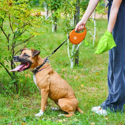 Повідець-рулетка для собак WAUDOG R-leash з контейнером для пакетів, світловідбивна стрічка, L, до 40 кг, 5 м, помаранчевий — Фото 5