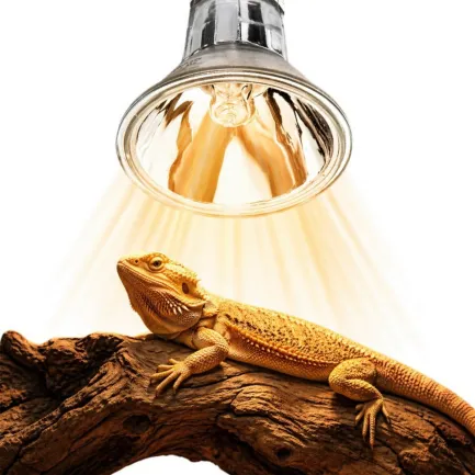 Галогенна лампа UVA Terrario Nadara Pro 50W E27 для тераріуму — Фото 4