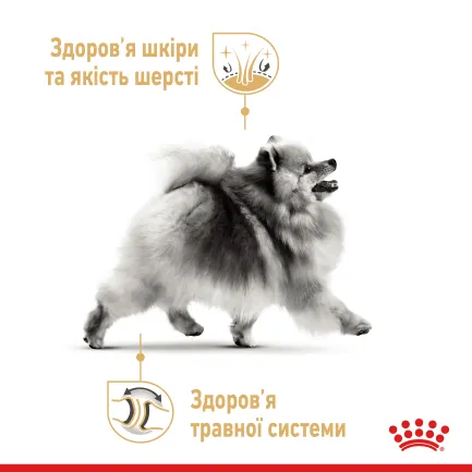 Сухий корм Royal Canin POMERANIAN ADULT для дорослих собак породи Померанський шпіц 1,5 кг — Фото 3