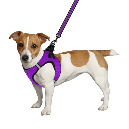 Шлея для собак Bronzedog Mesh Vest 3D сітка фіолетова 2XS — Фото 2