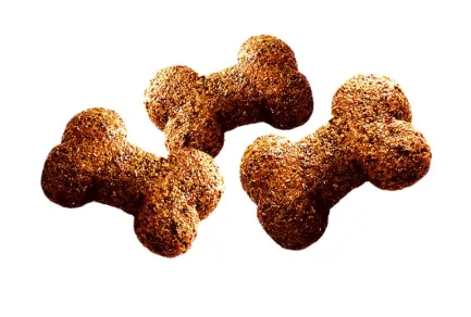 Ласощі для собак Brit Care Dog Crunchy Cracker Insects для імунітету, комахи, кролик і фенхель, 200 г — Фото 1