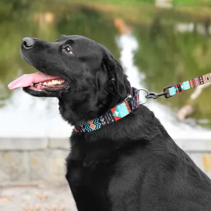 Нашийник для Собак Мартінґейл BronzeDog Urban Нейлоновий з Металевою Фурнітурою Ацтеки XL — Фото 7